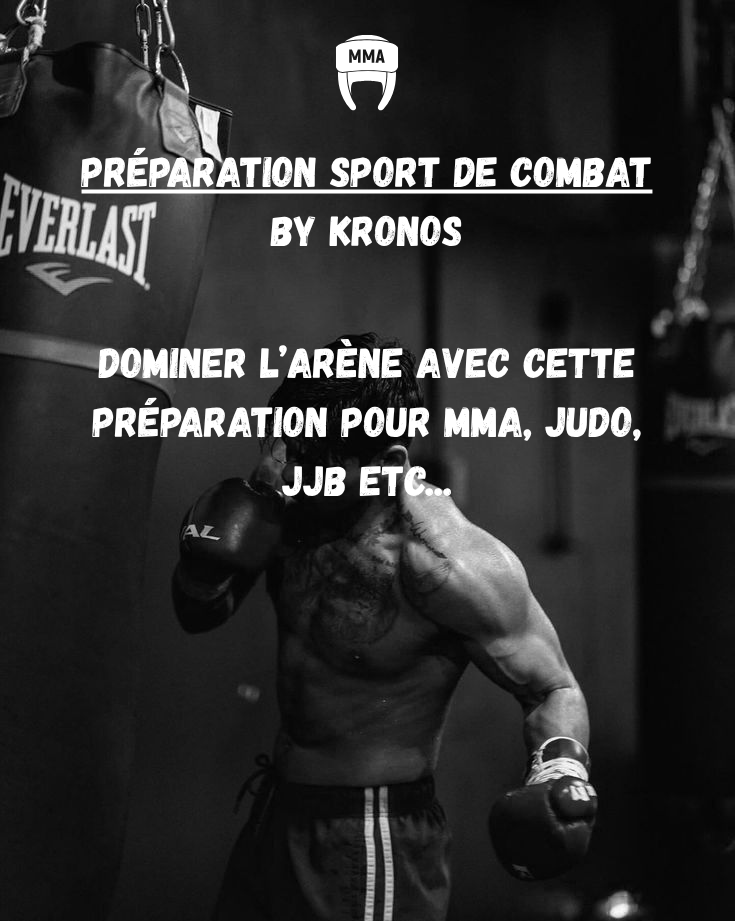 L'Art du Combat : Votre Programme pour Dominer l'Arène